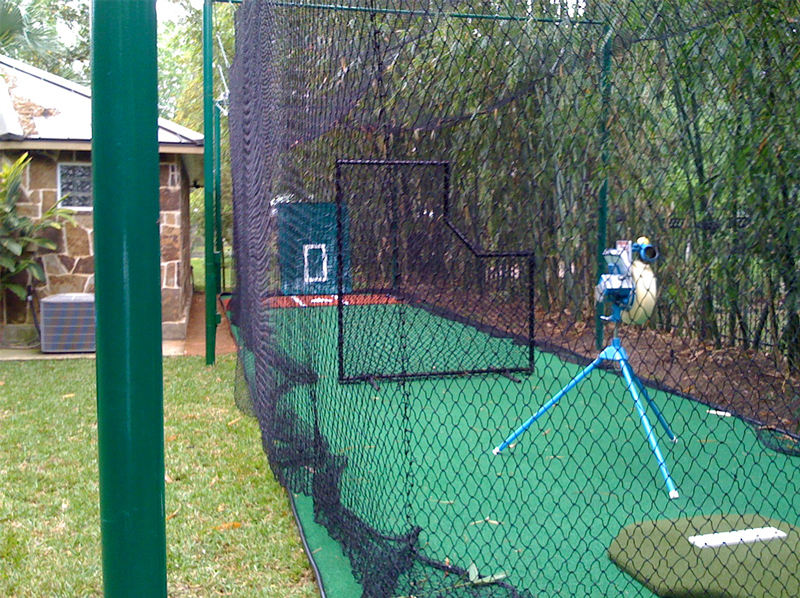 Backyard Baseball Hitting Cage